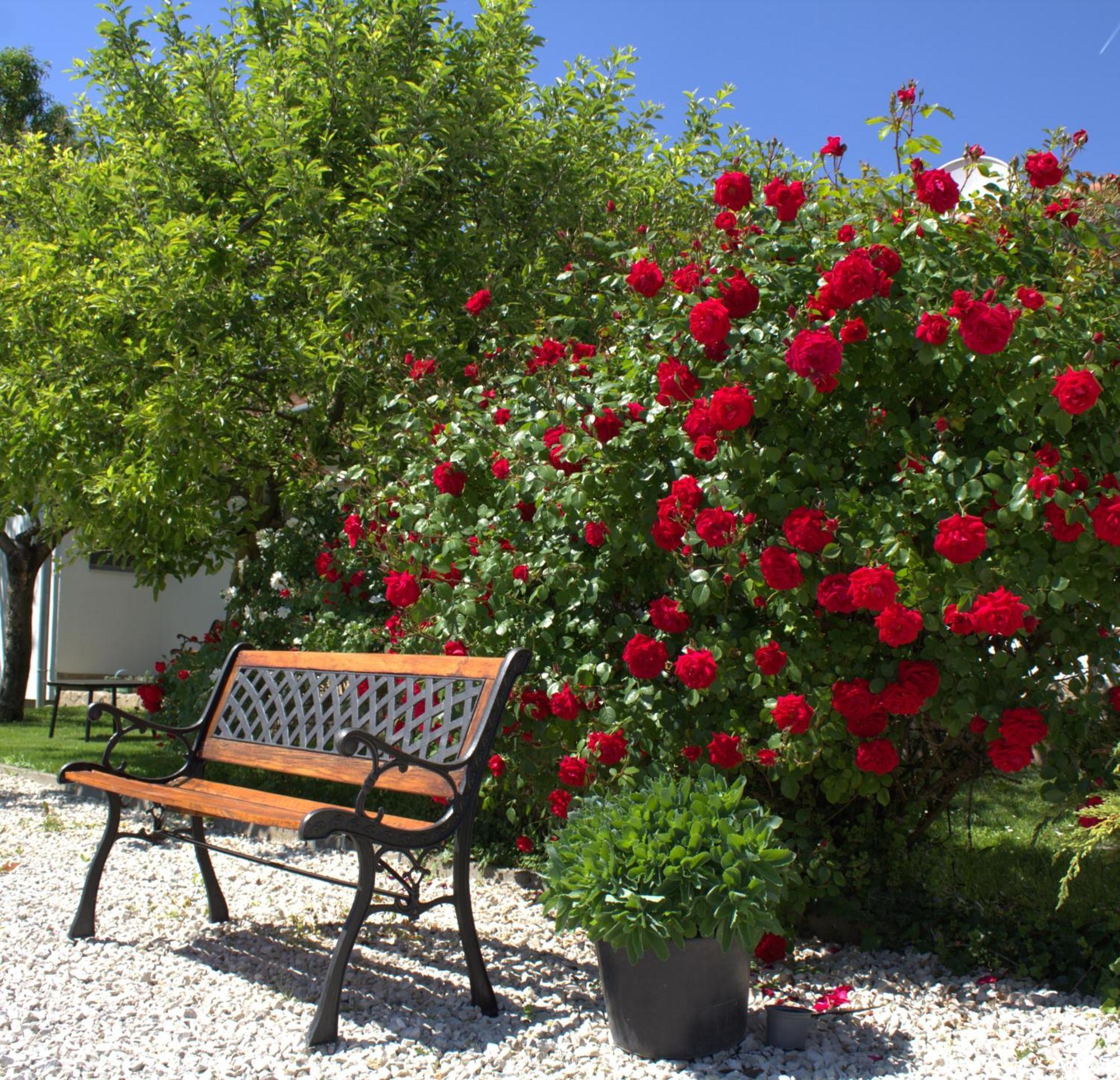 The Secret Garden - Keszthely Bed & Breakfast Ngoại thất bức ảnh